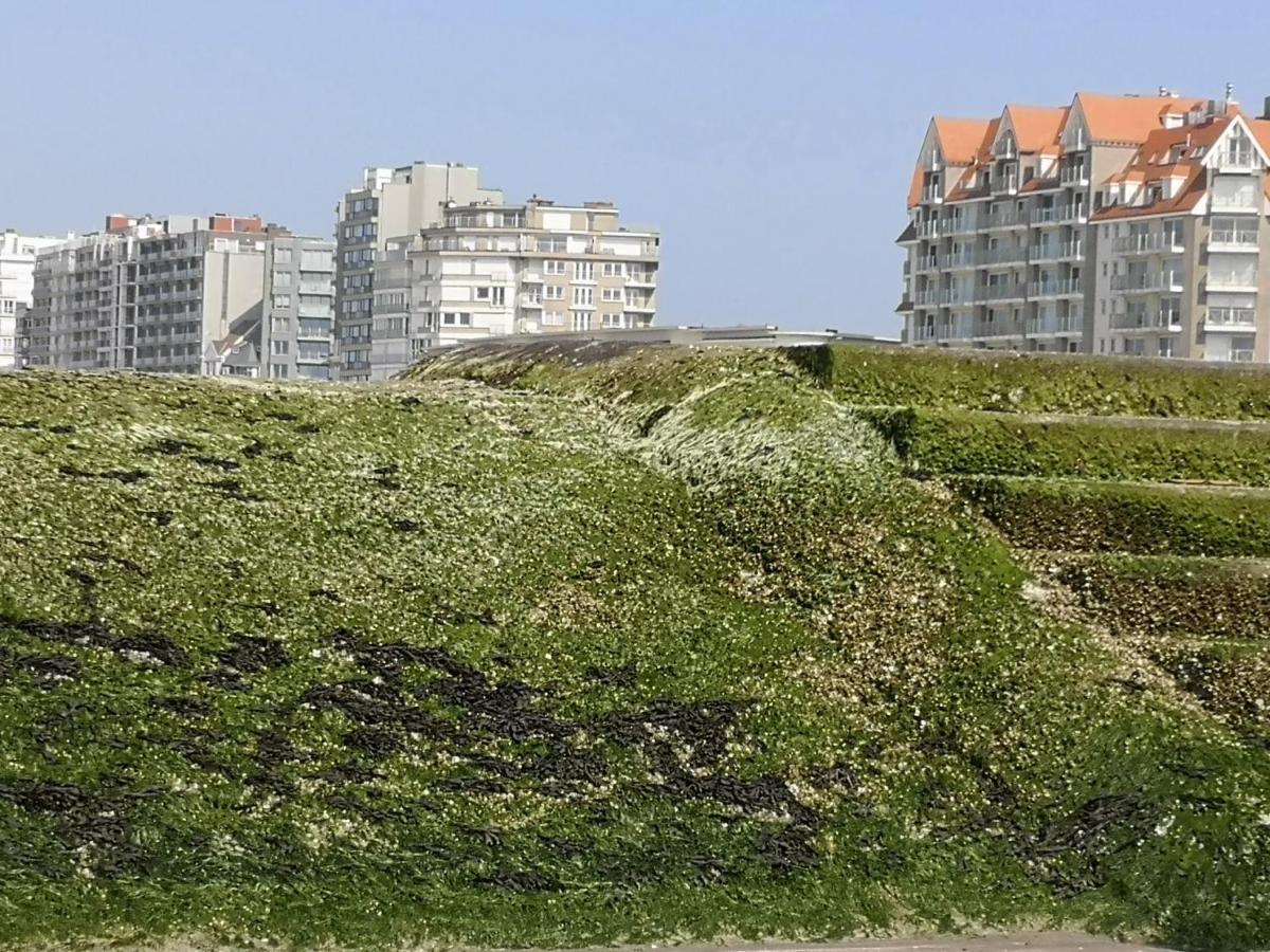 Westeinders Sea View Middelkerke Exterior photo